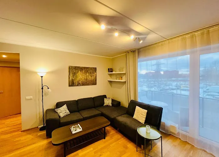 Spacious & Modern 1 Bedroom Near Lauluvaeljak- Apartamento